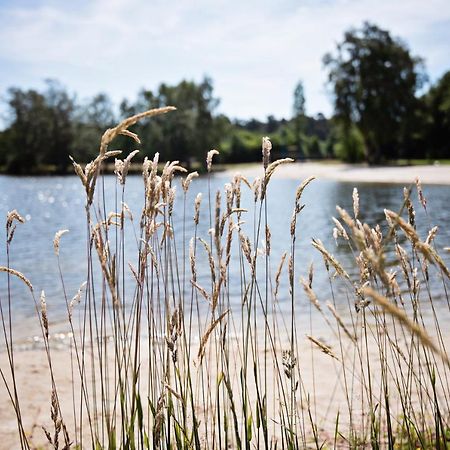 Ferienparadies Muehlenbach Ξενοδοχείο Soltau Εξωτερικό φωτογραφία